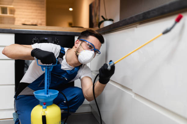 Best Termite Control Services  in Purcellville, VA