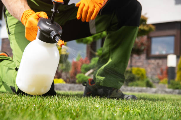 Best Mosquito Control Services  in Purcellville, VA