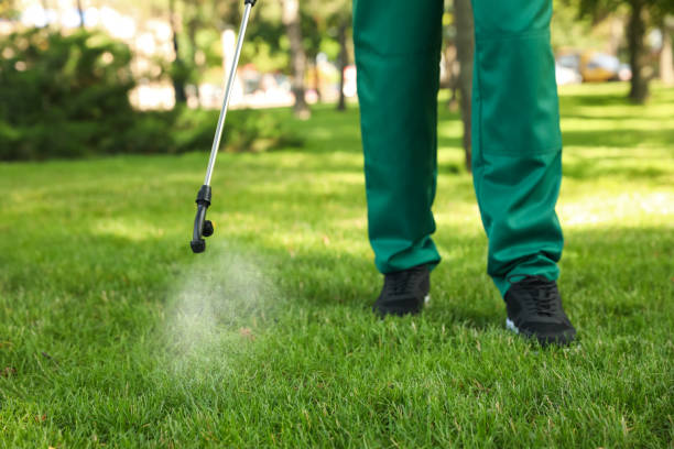Best Exterminator Services  in Purcellville, VA