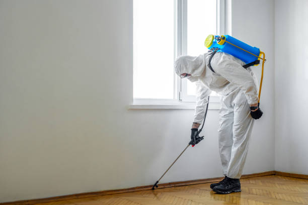 Best Emergency Pest Control  in Purcellville, VA