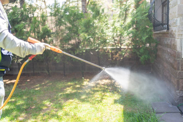 Best Mosquito Control Services  in Purcellville, VA