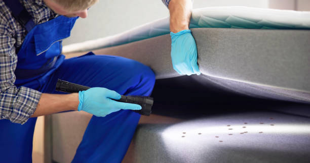 Pest Prevention Services in Purcellville, VA