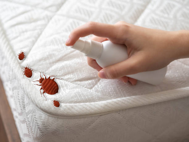 Best Best Pest Control Companies  in Purcellville, VA