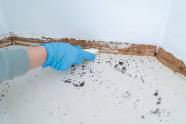 Best Pest Inspection Near Me  in Purcellville, VA