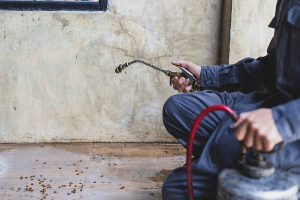 Best Pest Control Near Me  in Purcellville, VA