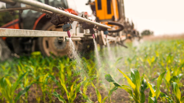 Best Ant Control Services  in Purcellville, VA