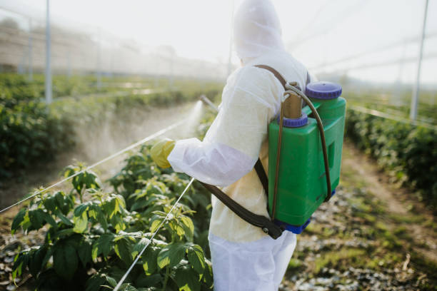 Best Insect Control  in Purcellville, VA